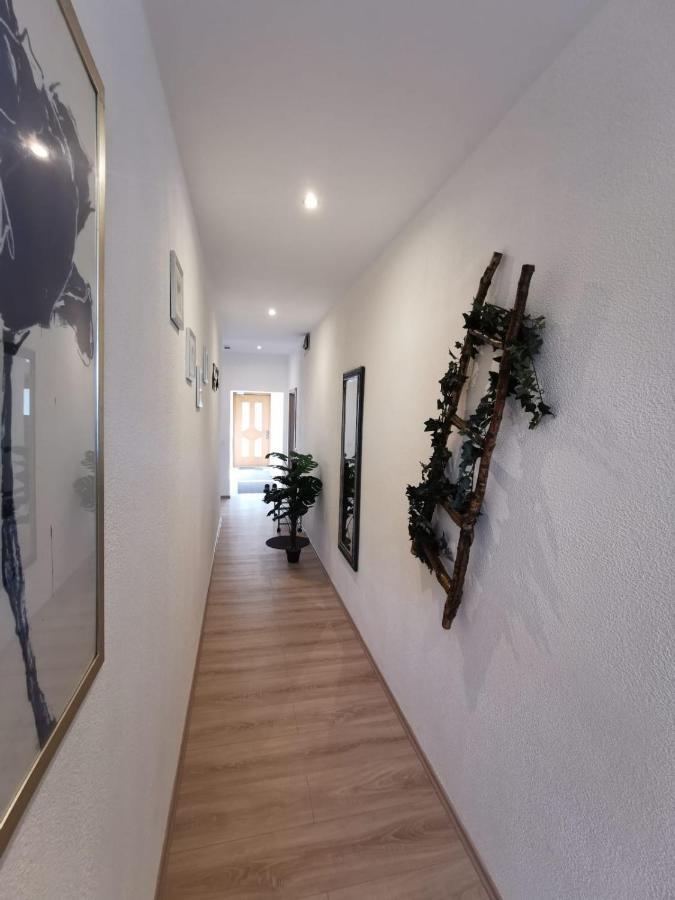 Pension Am Steinbruch Hilter Esterno foto